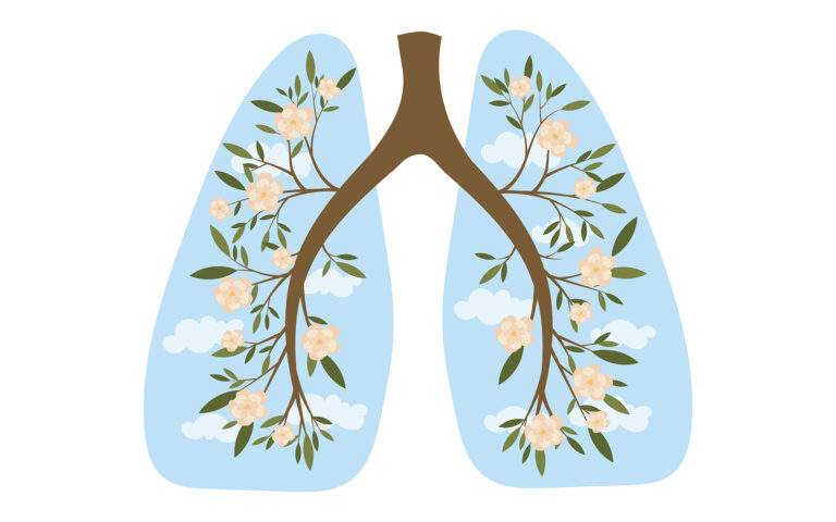 一个12分钟的4-7-8呼吸练习 - 人类肺部。呼吸系统。健康的肺。光线以树的形式呈现。手绘线图。