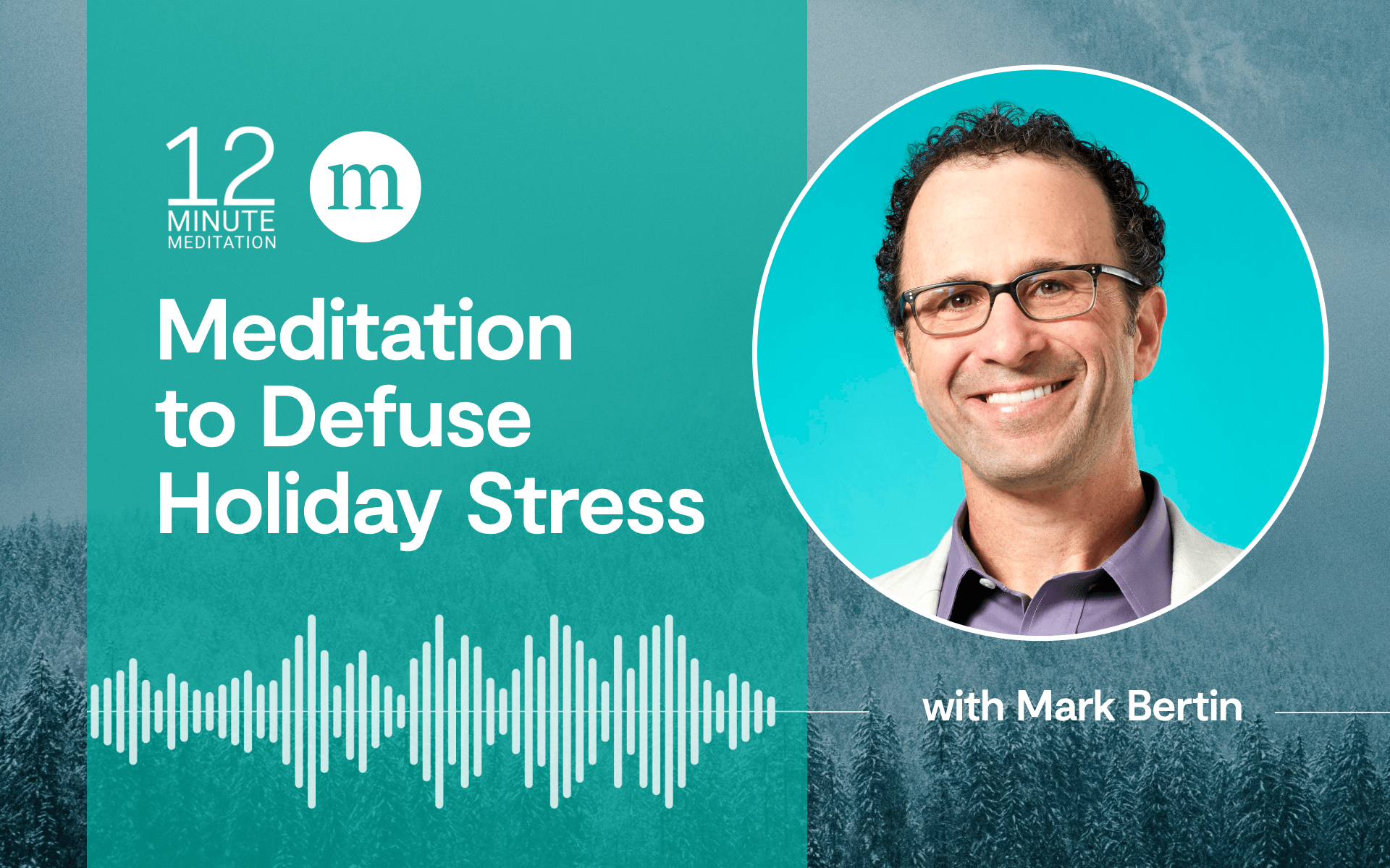 12MM_Mark-Bertin_A-Meditation-to-Defuse-Holiday-Stress; Mark Bertin 头像