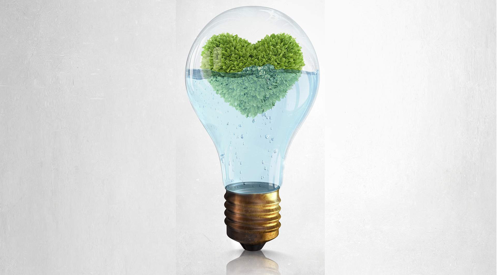 正念关注当下的生命力 - 玻璃灯泡内有水和绿色爱心树
