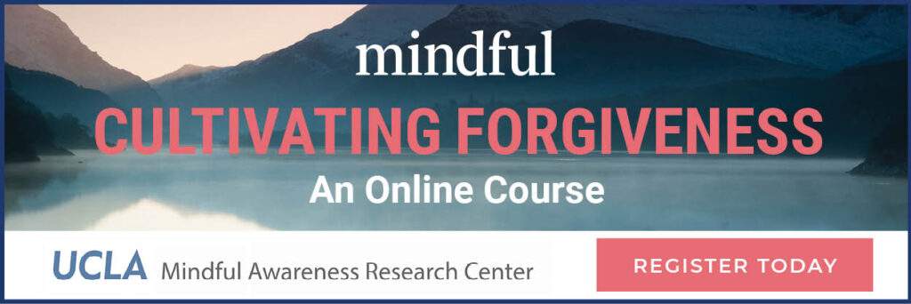 在线课程 - 正念宽恕冥想