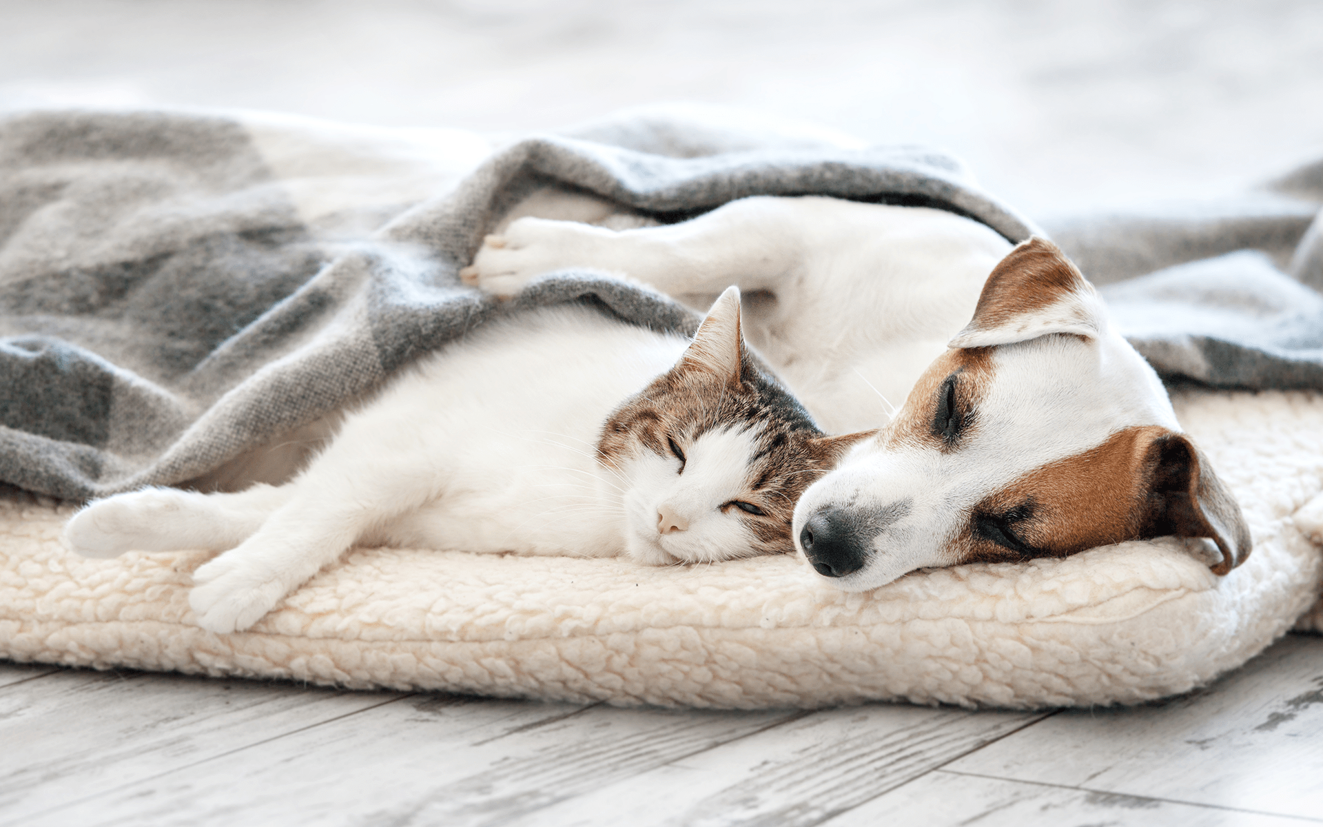 睡眠对关系有益