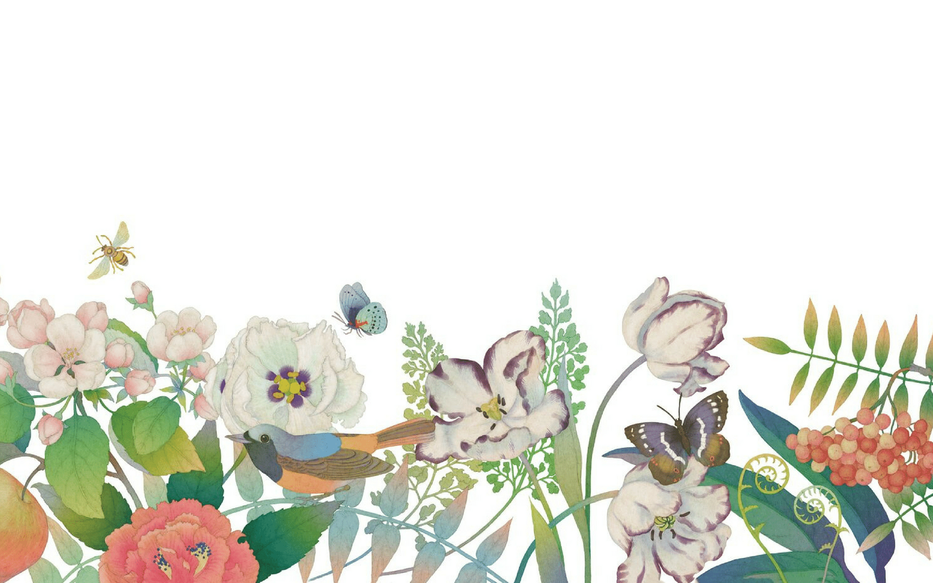 鸟、花、花园的插图