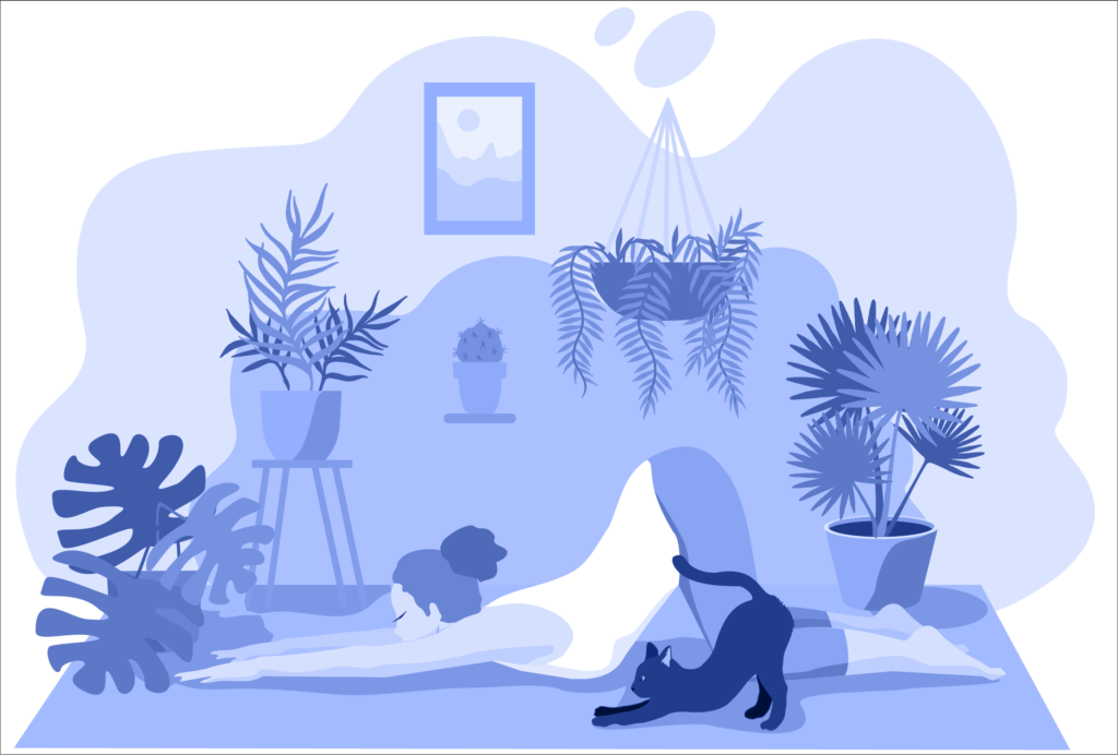 如何正念冥想—一些基础的冥想练习